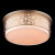 Светильник потолочный Maytoni Venera H260-05-N